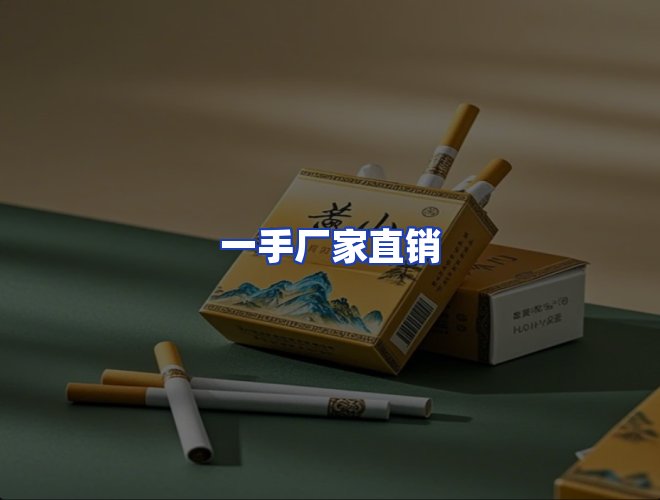 专业团队